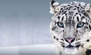 05d7cda393f07531a5b.2e16d0ba.format-webp.fill-1668x1014.webp