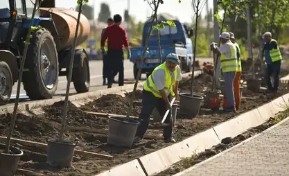 Kırgızistan 2026 yılında 9 milyon fidan dikmeyi planlıyor