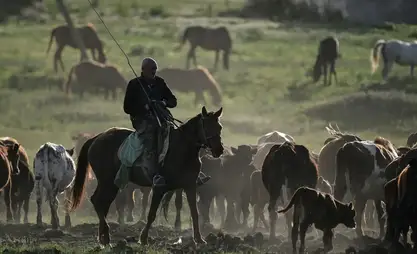 Narın bölgesi'nde hayvancılıkla uğraşanların yer değiştirmesi görüşüldü