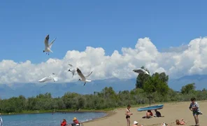 1455283.1.152940375.2e16d0ba.format-webp.fill-1668x1014.webp