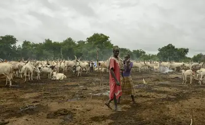 Sudan'da heyelan sonucu binden fazla kişi hayatını kaybetti