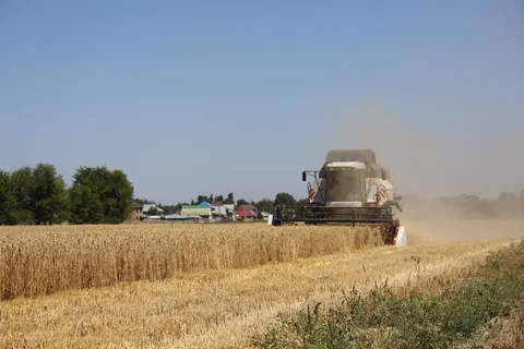 152A9853.max-2560x1440.format-webp.jpegquality-90.webp