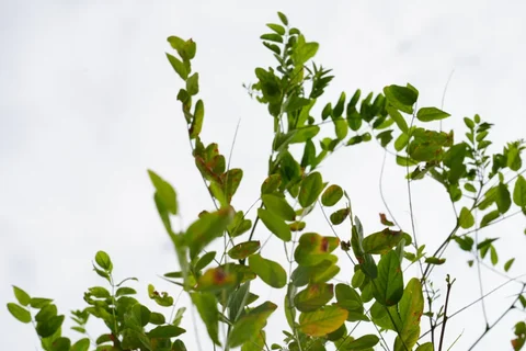 1784865580.max-2560x1440.format-webp.jpegquality-90.webp