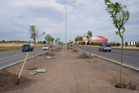 1784865586.max-2560x1440.format-webp.jpegquality-90.webp
