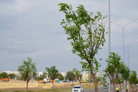1784865627.max-2560x1440.format-webp.jpegquality-90.webp