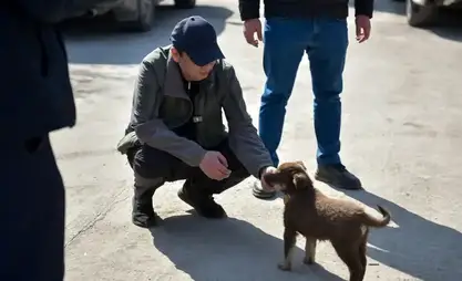 Bişkek'te köpek gezdirme alanları oluşturulacak
