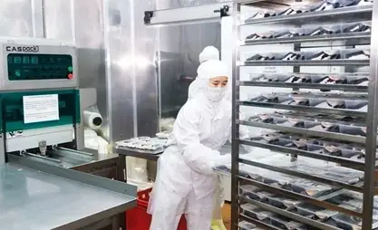 Kırgızistan'da tarımsal işleme sektöründe binden fazla yeni iş imkanı yaratıldı