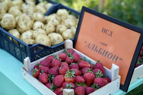 2994f808-0c38-.max-2560x1440.format-webp.jpegquality-90.webp