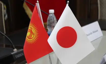 Japonya ile çifte vergilendirme anlaşmasını onaylayan kanun imzalandı