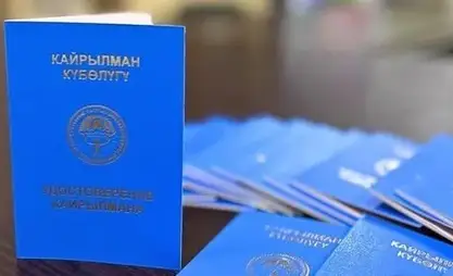 Kırgızistan'da, yılın başından bu yana 387 etnik Kırgız, Kayrılman statüsü aldı