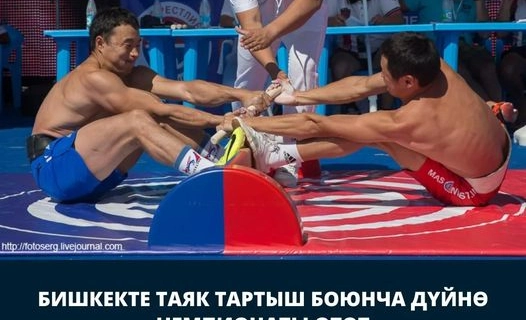 467463247_589110420128846_1404984944510983538_n