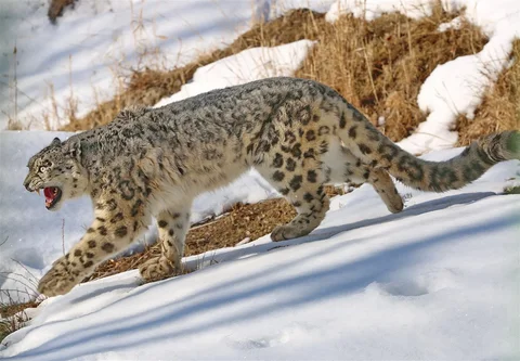 53346591823742_JXO0tMK.max-2560x1440.format-webp.jpegquality-90.webp