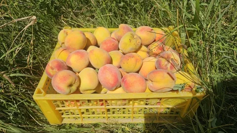53596289239411.max-2560x1440.format-webp.jpegquality-90.webp