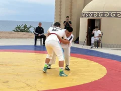 536267144_7867.max-2560x1440.format-webp.jpegquality-90.webp