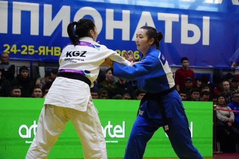 621826719_9059.max-2560x1440.format-webp.jpegquality-90.webp