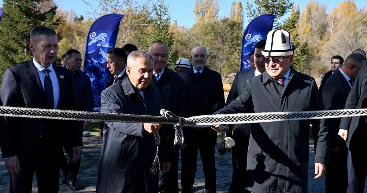 Isık-Köl'de Ak İlbirs Kar Leoparı rehabilitasyon merkezi açıldı