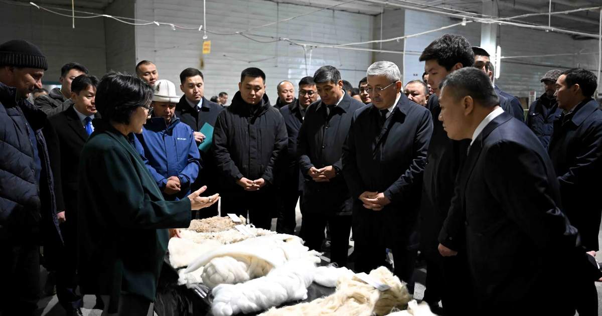 Kasımaliev, Tokmok'taki Kasiet yün fabrikasında yün kümelenme geliştirme stratejisi hakkında bilgi…