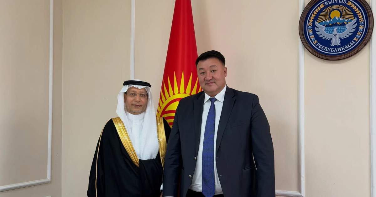Kırgızistan Enerji Bakanı, Suudi Arabistan Büyükelçisi ile iş birliğini görüştü