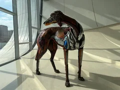IMG_0982.max-2560x1440.format-webp.jpegquality-90.webp