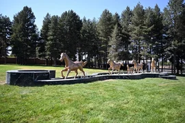 IMG_1884.max-2560x1440.format-webp.jpegquality-90.webp