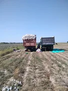 Izobrazhenie_W_iUJ0XbS.max-2560x1440.format-webp.jpegquality-90.webp
