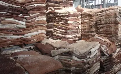Narın bölgesi sakinleri deri işleme tesisi inşası talep etti – Milletvekili
