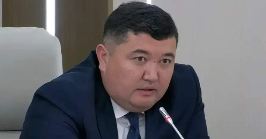 Yıl başından bu yana yaklaşık 11.000 yabancı göçmen gönüllü olarak Kırgızistan'ı terk etti