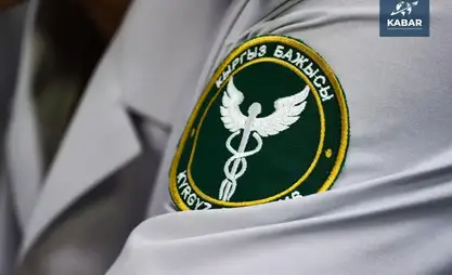 Devlet Gümrük Servisi, dokuz ayda planını 6,1 milyar som aşarak büyük bir başarı elde etti