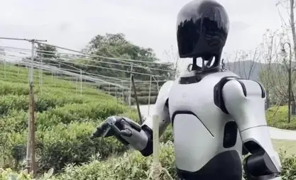 Çin'de bir robot çay toplamayı öğrendi
