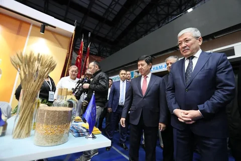 WhatsApp_Image_AXdhXTW.max-2560x1440.format-webp.jpegquality-90.webp