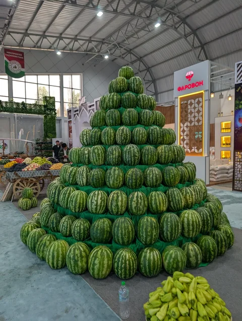 WhatsApp_Image_PFx6oJa.max-2560x1440.format-webp.jpegquality-90.webp
