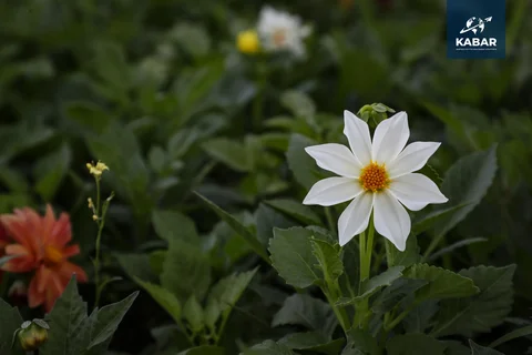 WhatsApp_Image_PN3VJC5.max-2560x1440.format-webp.jpegquality-90.webp
