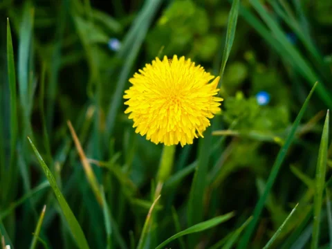 WhatsApp_Image_Y9qH7MV.max-2560x1440.format-webp.jpegquality-90.webp