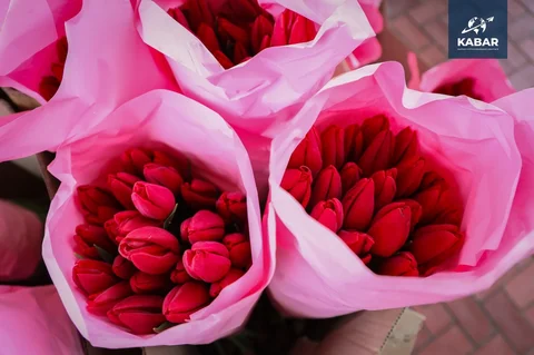 WhatsApp_Image_jXzxCpO.max-2560x1440.format-webp.jpegquality-90.webp