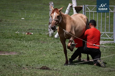 WhatsApp_Image_kUjR32R.max-2560x1440.format-webp.jpegquality-90.webp