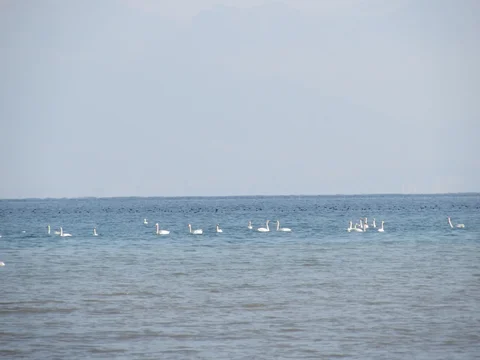 WhatsApp_Image_wNhWROT.max-2560x1440.format-webp.jpegquality-90.webp