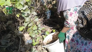 b046f317-8d95-_ExRVzGb.max-2560x1440.format-webp.jpegquality-90.webp