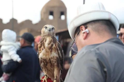 c0a93a1b-d0e7-.max-2560x1440.format-webp.jpegquality-90.webp