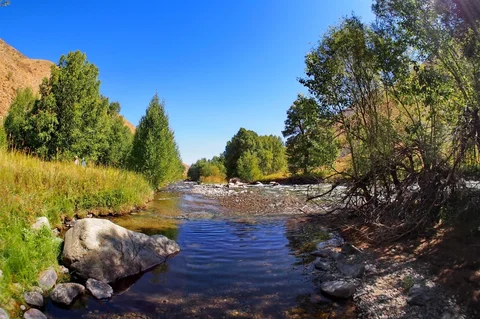 c5700a83-aab0-.max-2560x1440.format-webp.jpegquality-90.webp