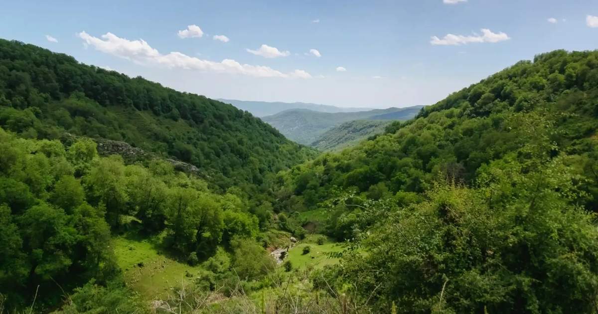 Kırgızistan'da orman alanı 1993'ten beri 506.000 hektar arttı