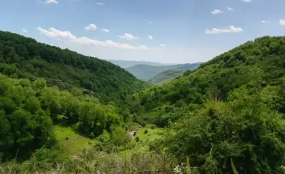 Kırgızistan'da orman alanı 1993'ten beri 506.000 hektar arttı
