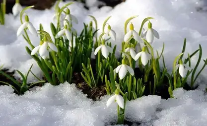 Bişkek hava ısınacak