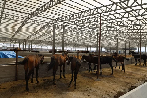 photo_53232960_5qjsLIi.max-2560x1440.format-webp.jpegquality-90.webp