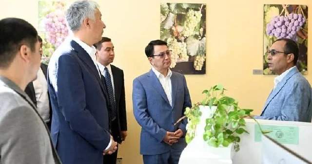 Kırgızistan, Kaliforniya'nın fidan üretimi deneyimini inceliyor