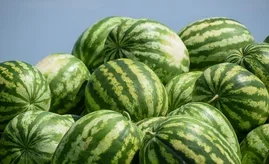 tz3t89ujk6ykibpo49pchxtjxqgxyb9.max-320x180.format-webp.webp