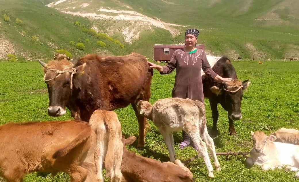 whatsapp_image_2024-11-19_at_10_02_36